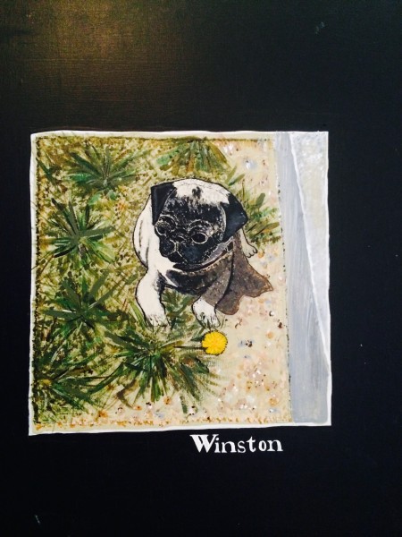 Winston as Puppy with Dandelion by Concrete partition.  Xmas 1983, McCormick Ranch/Scottsdale. 